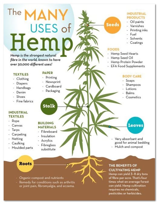 Laubscher Attorneys Incorporated The Many Uses of Hemp